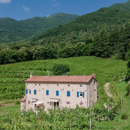 Agriturismo Podere Del Bosc Valmareno Zewnętrze zdjęcie