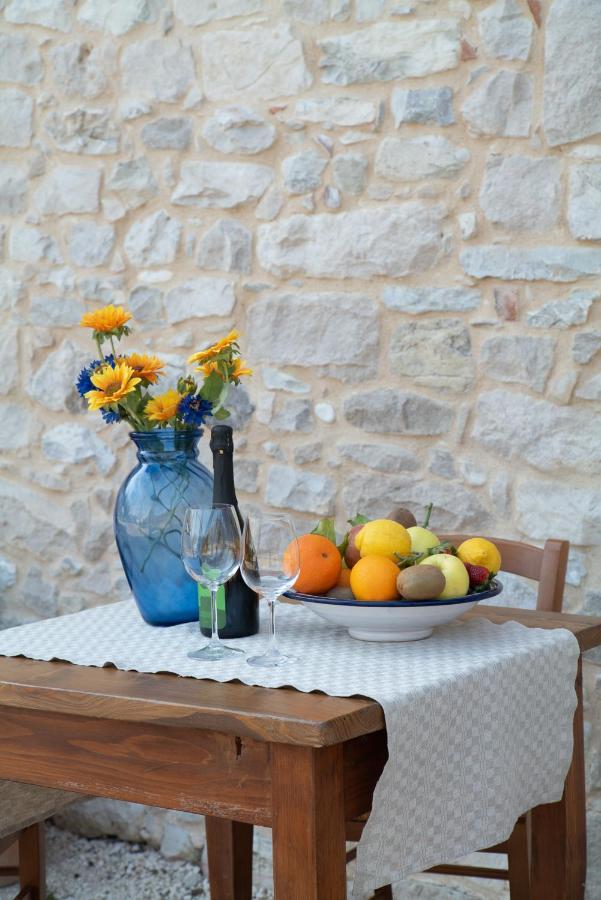 Agriturismo Podere Del Bosc Valmareno Zewnętrze zdjęcie