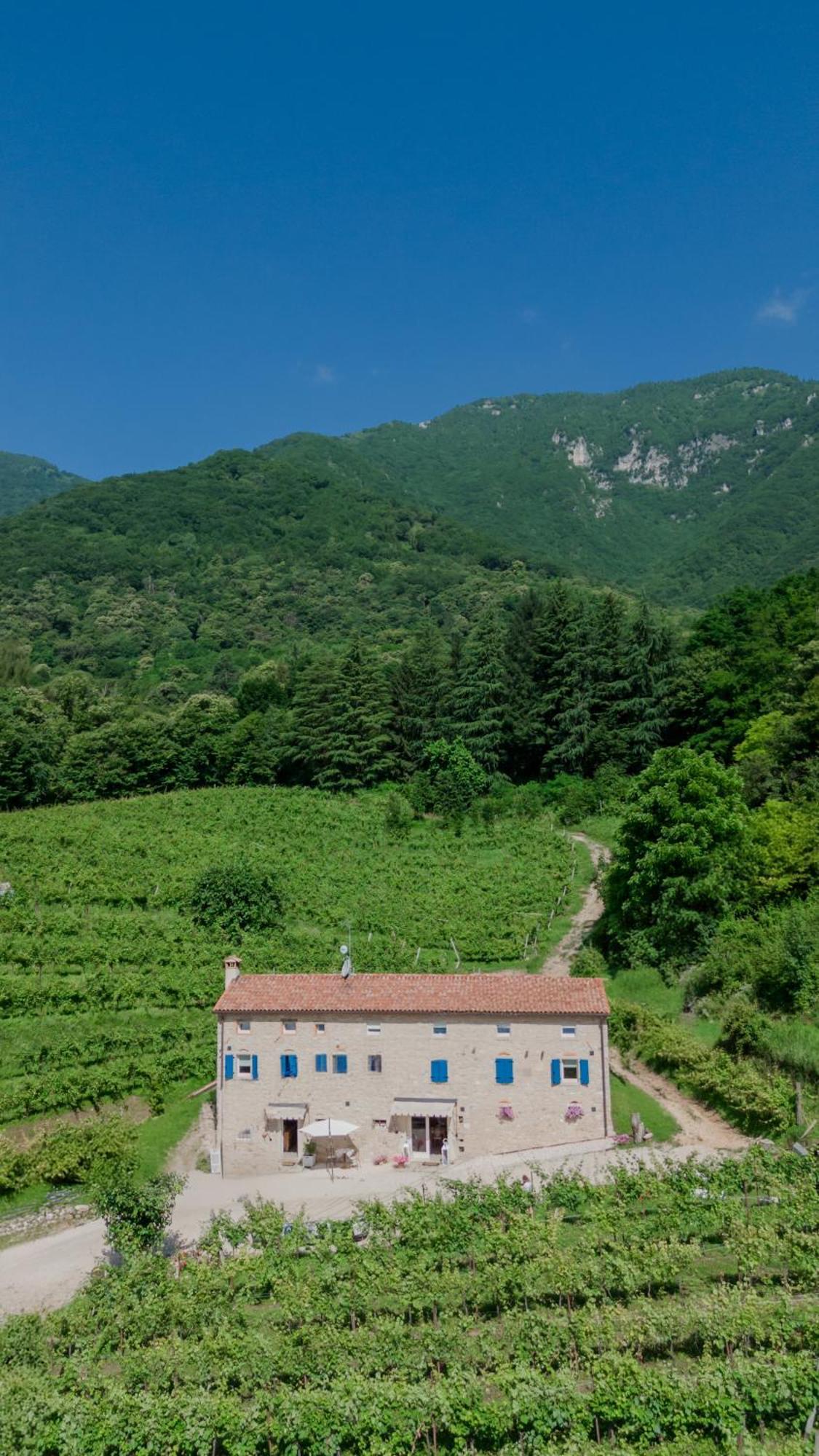 Agriturismo Podere Del Bosc Valmareno Zewnętrze zdjęcie