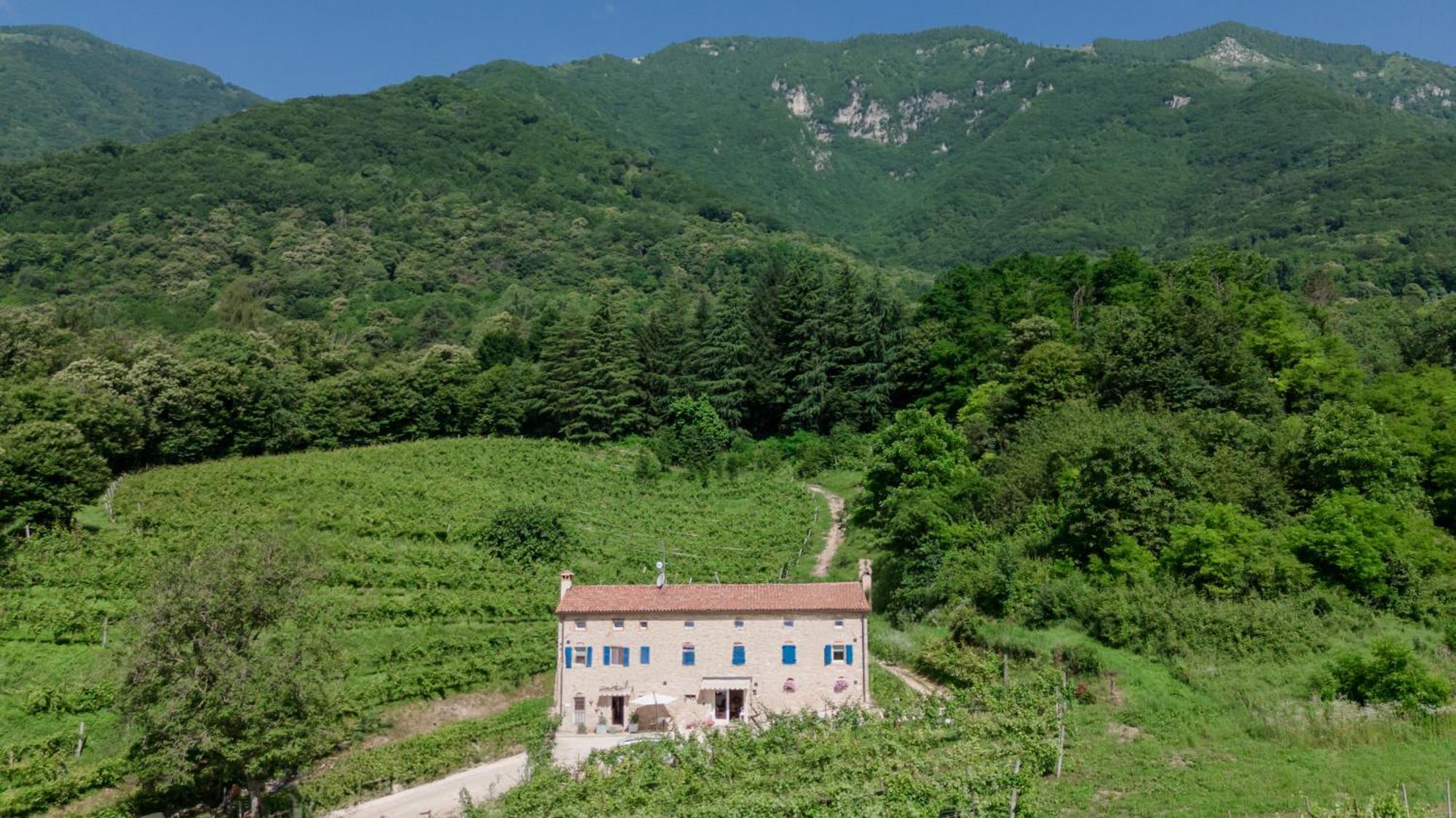 Agriturismo Podere Del Bosc Valmareno Zewnętrze zdjęcie